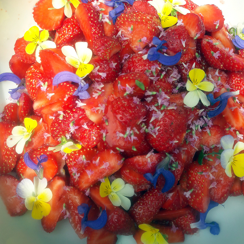 09-fraises-fleurs sauvages